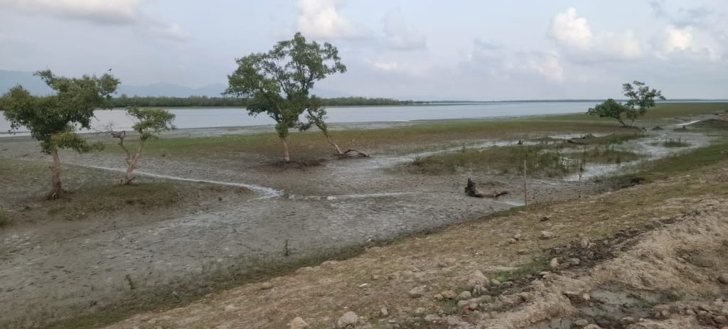 ফের গভীর রাতে টেকনাফ সীমান্তে মর্টারশেল বিস্ফোরণের বিকট শব্দে সীমান্তবাসীর ঘুমভাঙ্গে